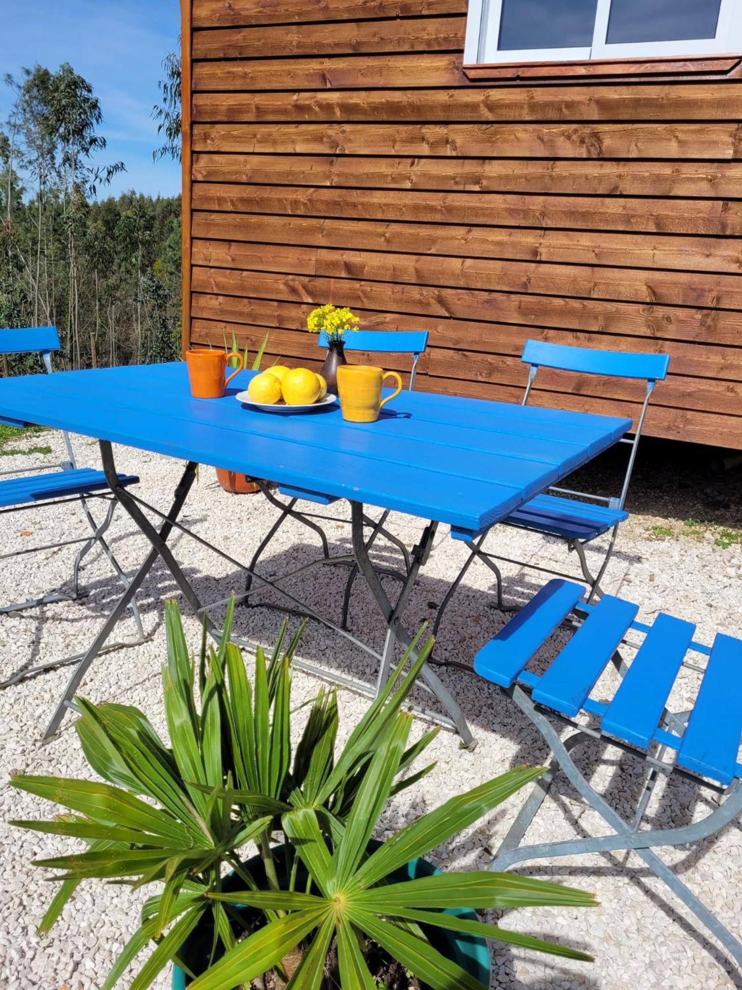 הוילה Sertã Casa Carini מראה חיצוני תמונה
