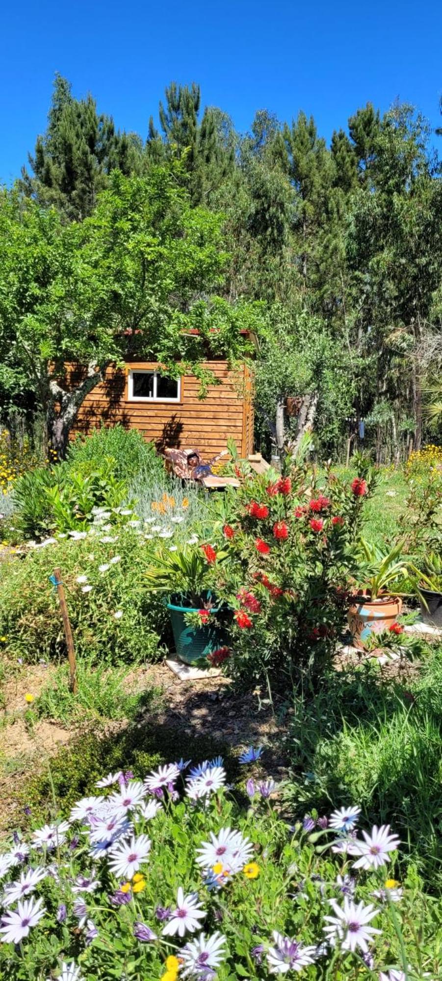 הוילה Sertã Casa Carini מראה חיצוני תמונה