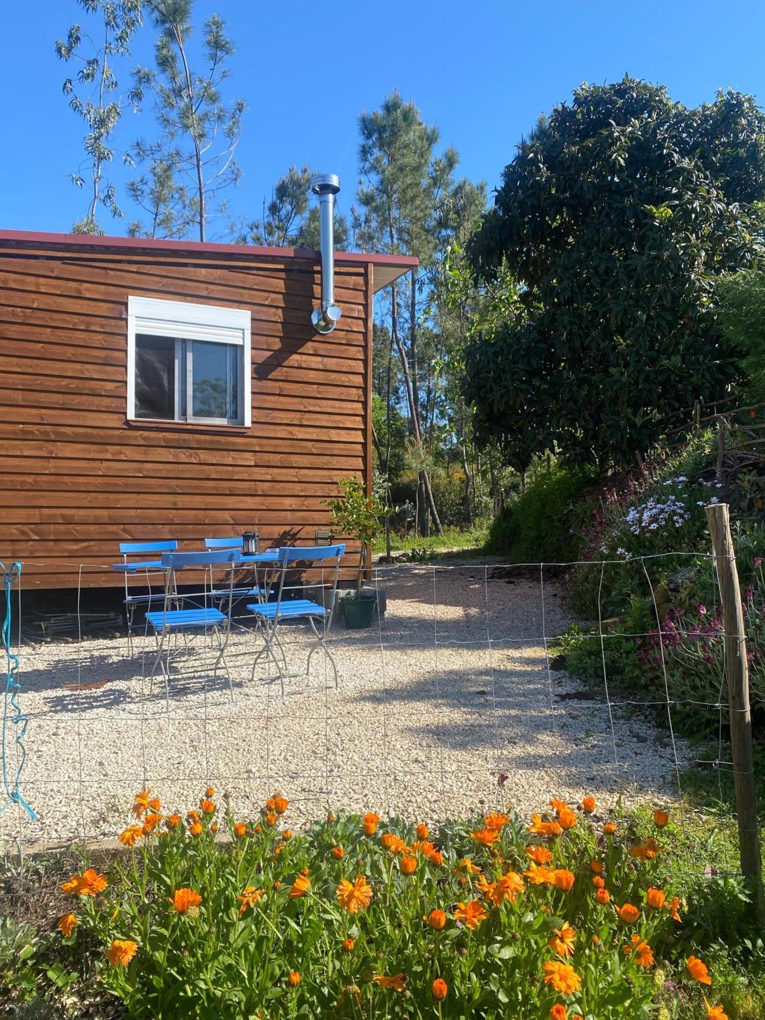 הוילה Sertã Casa Carini מראה חיצוני תמונה